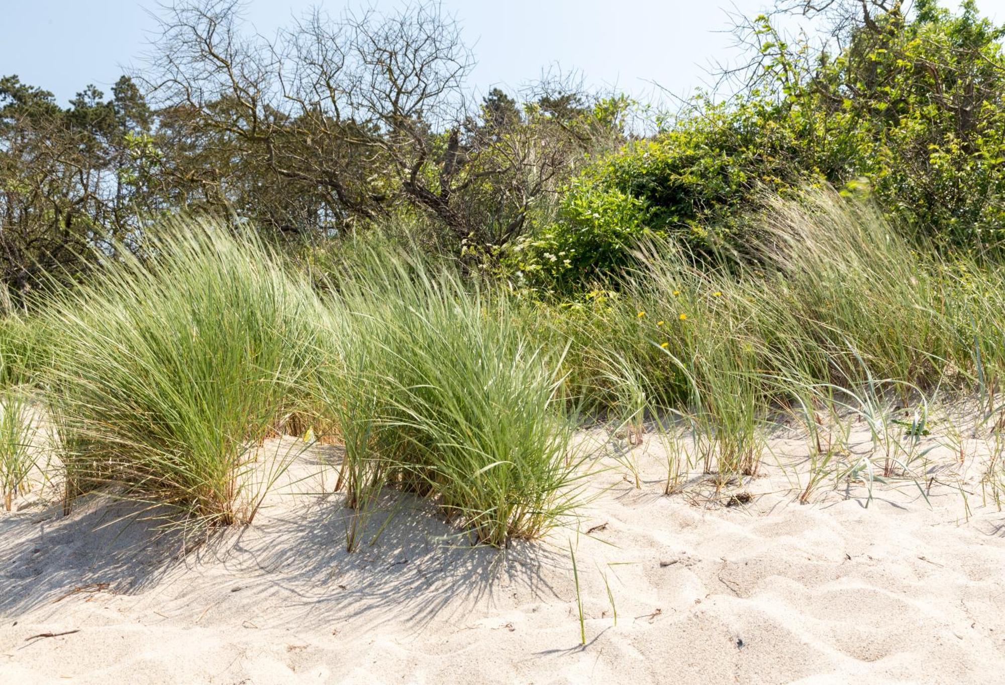 Villa Schmidt - Strandhaus Direkt Am Meer Mit Sauna, Sport Und Duenengarten II Rostock Zewnętrze zdjęcie